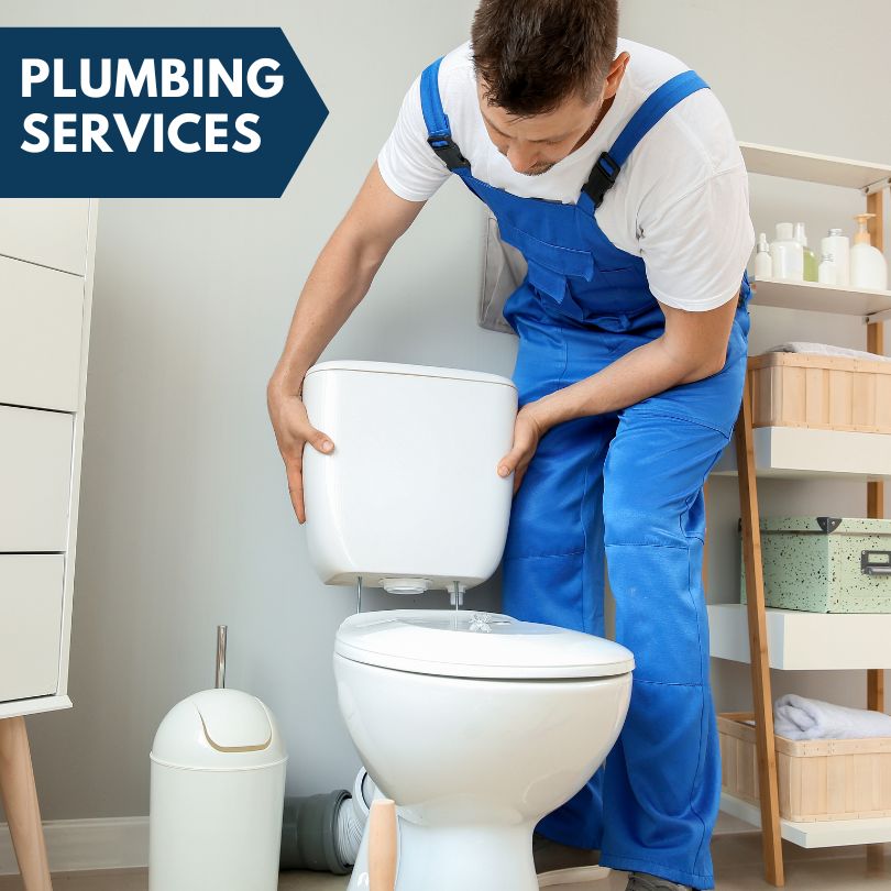 Plumbing Company in Newman, IL